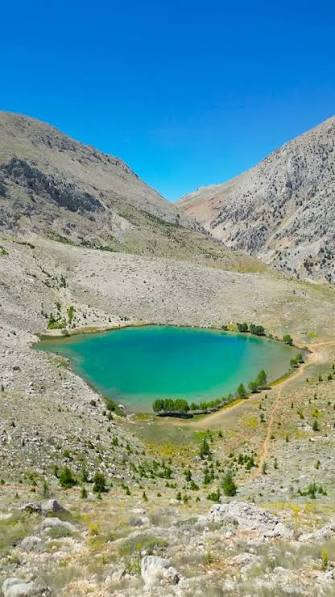 gombe